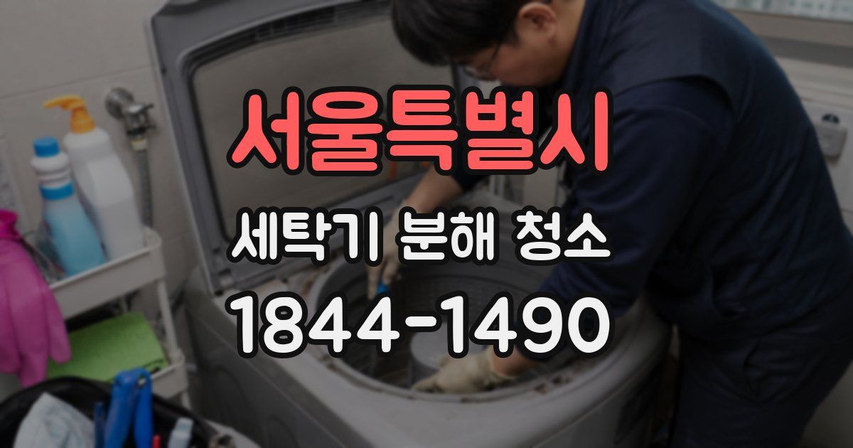 서울특별시 세탁기 분해 청소