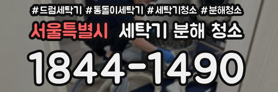 서울특별시 세탁기 분해 청소