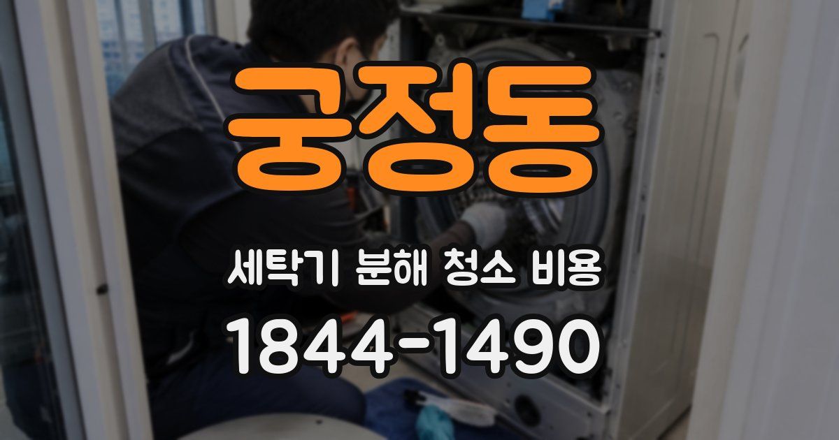 궁정동 세탁기 분해 청소 비용