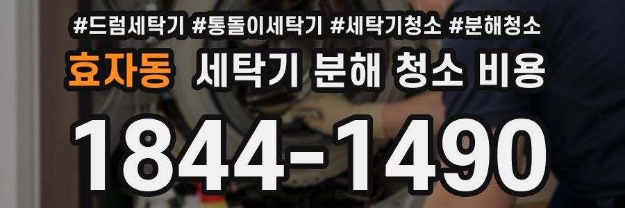 효자동 세탁기 분해 청소 비용