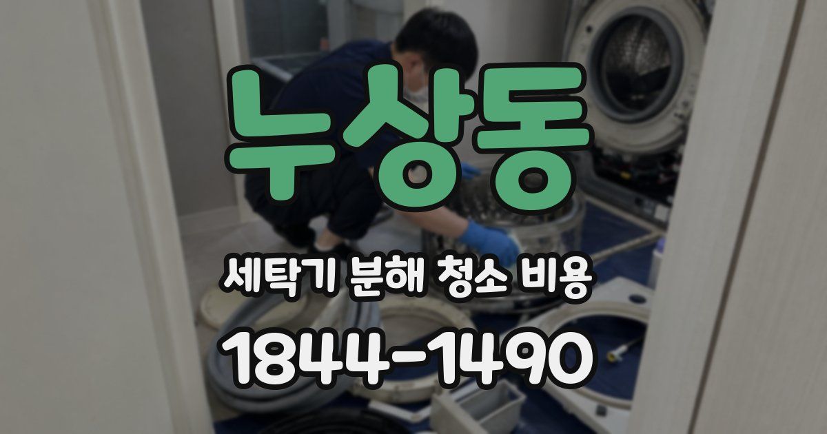 누상동 세탁기 분해 청소 비용