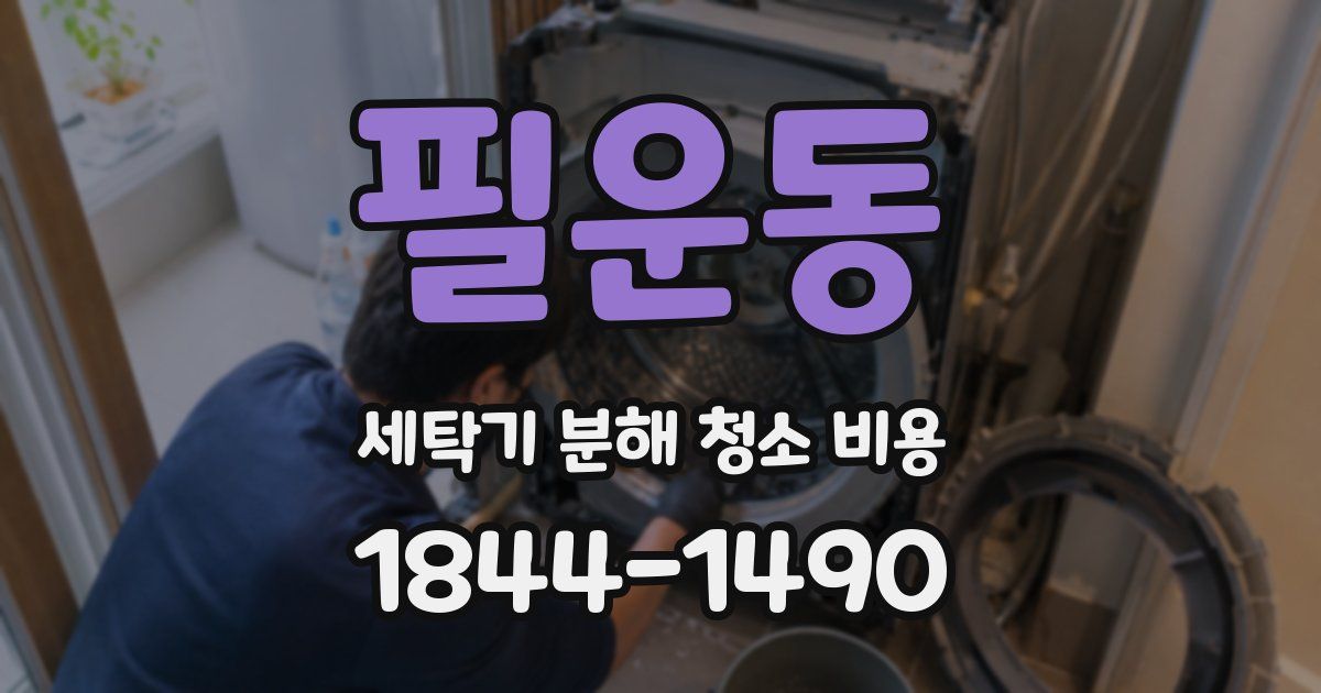 필운동 세탁기 분해 청소 비용