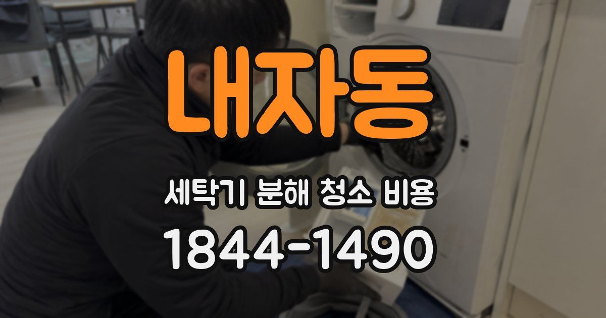 내자동 세탁기 분해 청소 비용