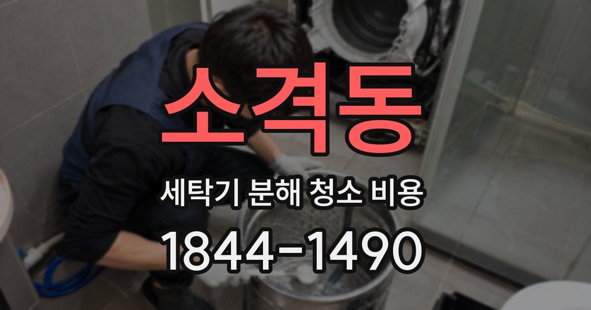 소격동 세탁기 분해 청소 비용