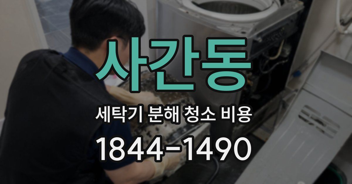 사간동 세탁기 분해 청소 비용