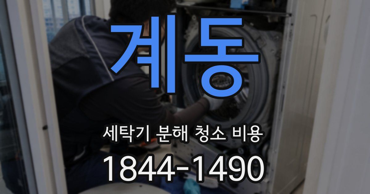 계동 세탁기 분해 청소 비용