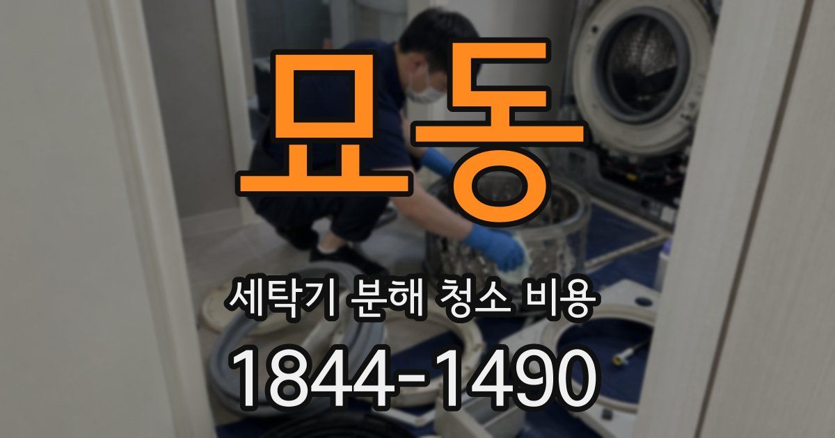 묘동 세탁기 분해 청소 비용