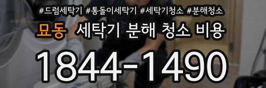 묘동 세탁기 분해 청소 비용