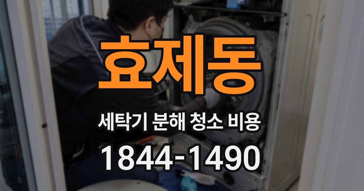 효제동 세탁기 분해 청소 비용