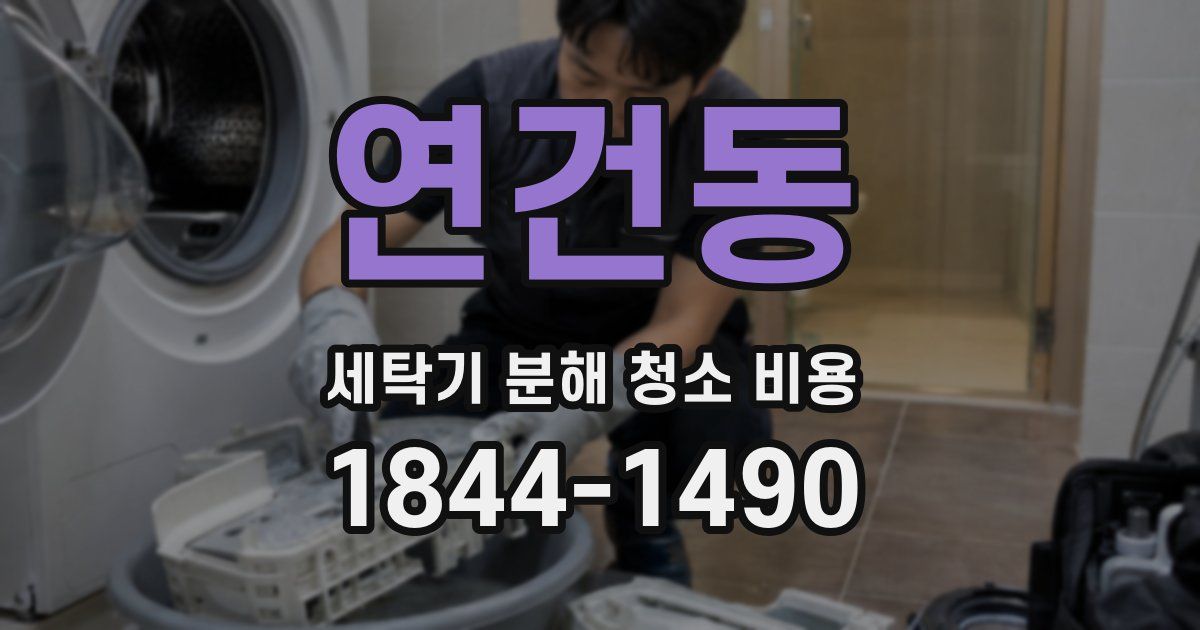 연건동 세탁기 분해 청소 비용