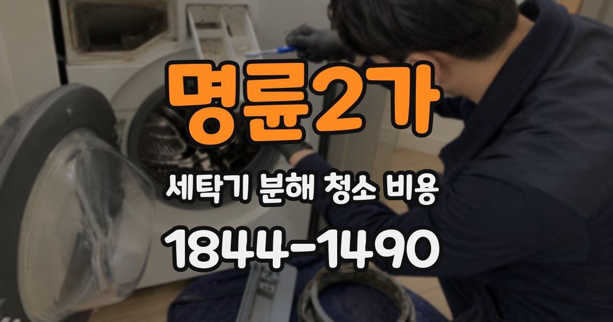 명륜2가 세탁기 분해 청소 비용