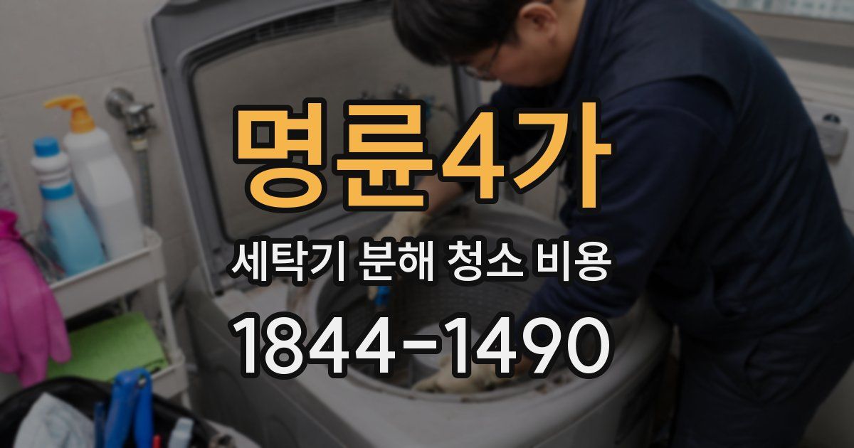 명륜4가 세탁기 분해 청소 비용