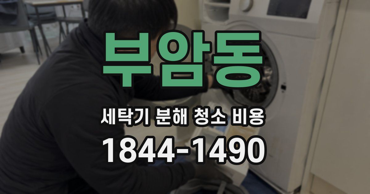 부암동 세탁기 분해 청소 비용