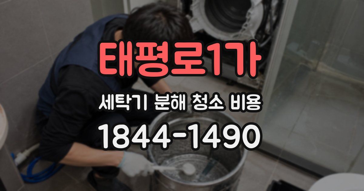 태평로1가 세탁기 분해 청소 비용