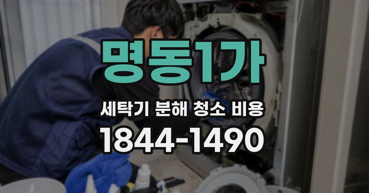 명동1가 세탁기 분해 청소 비용
