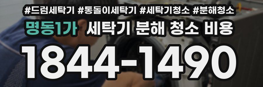 명동1가 세탁기 분해 청소 비용