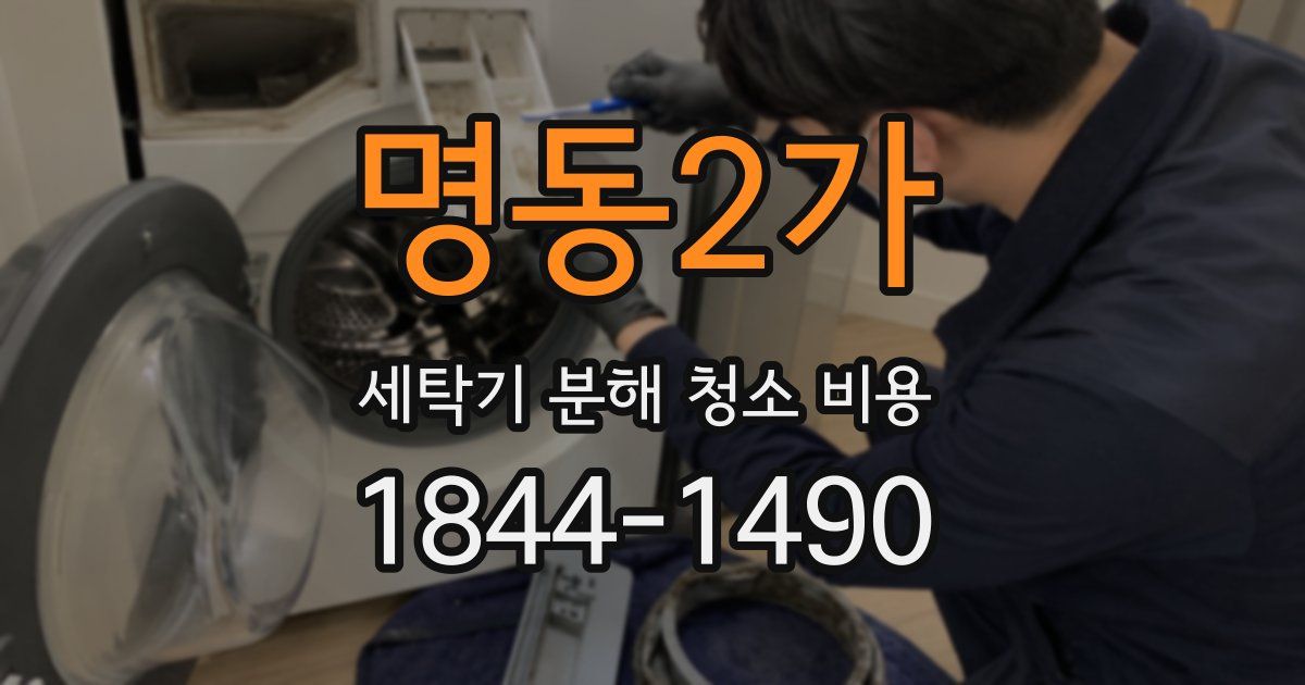 명동2가 세탁기 분해 청소 비용