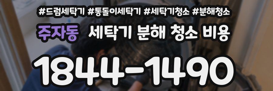 주자동 세탁기 분해 청소 비용