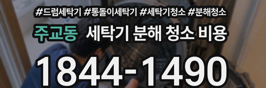 주교동 세탁기 분해 청소 비용