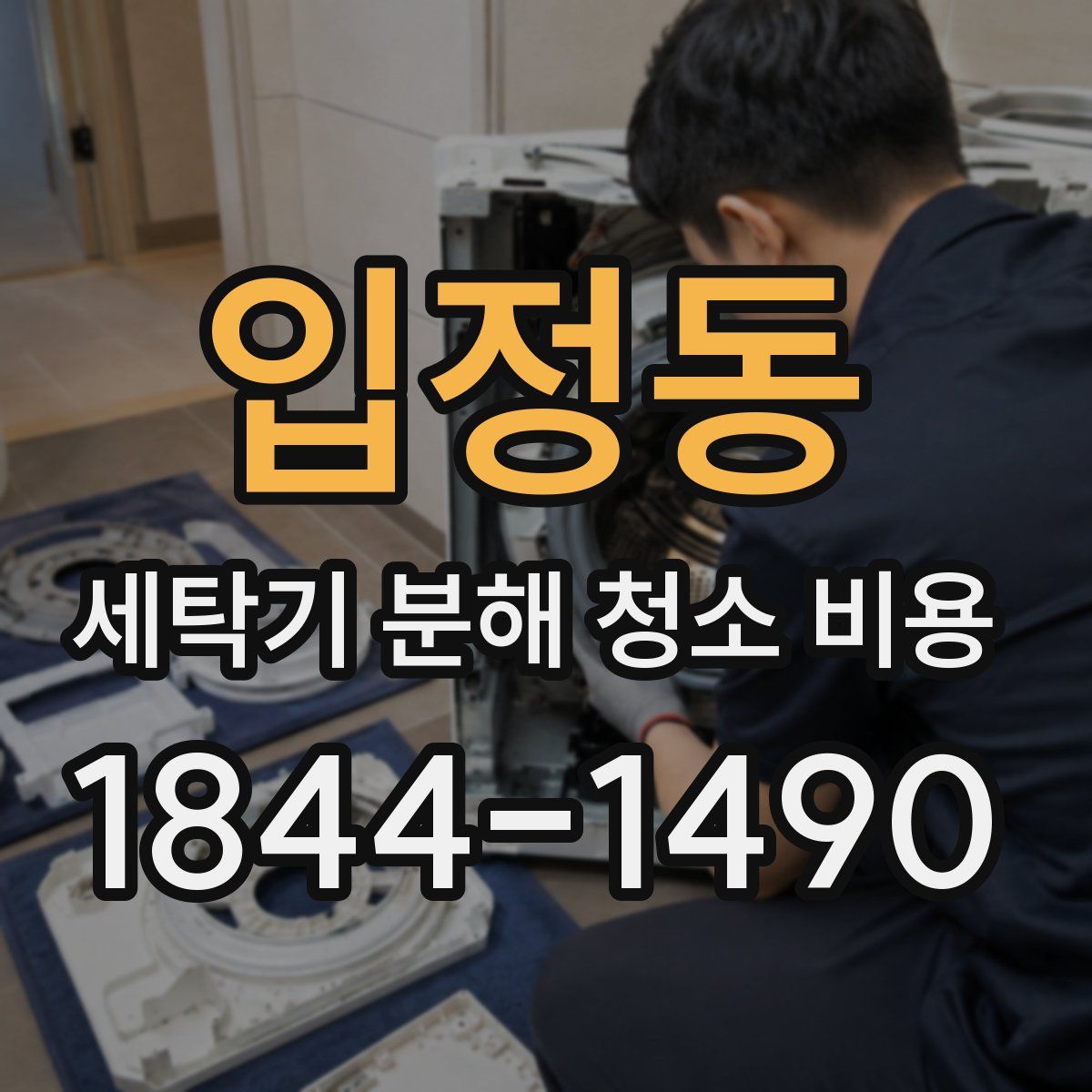 입정동 세탁기 분해 청소 비용
