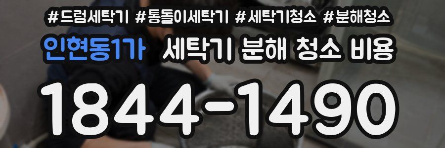인현동1가 세탁기 분해 청소 비용
