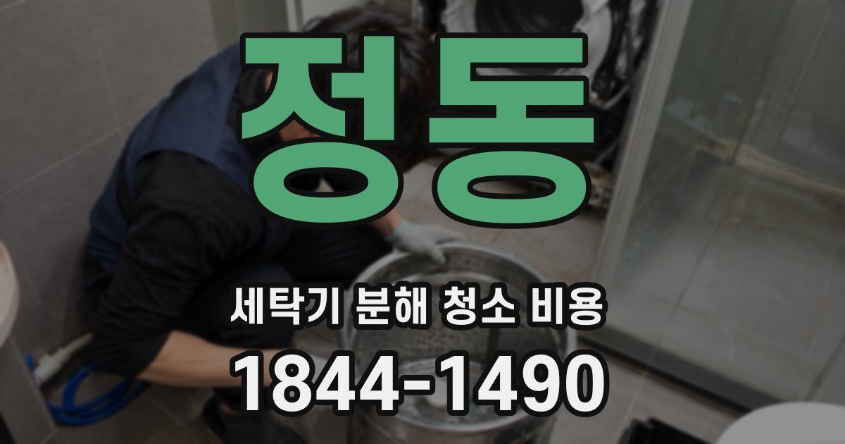 정동 세탁기 분해 청소 비용