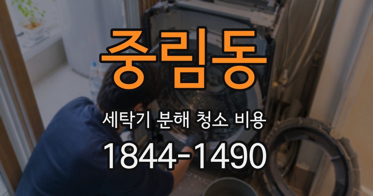 중림동 세탁기 분해 청소 비용