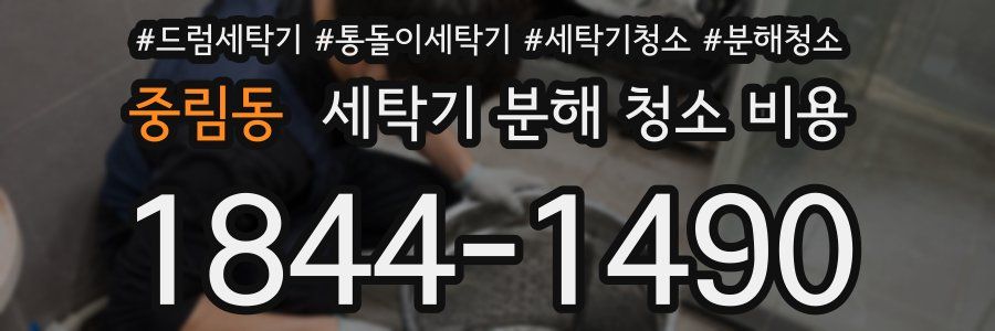 중림동 세탁기 분해 청소 비용