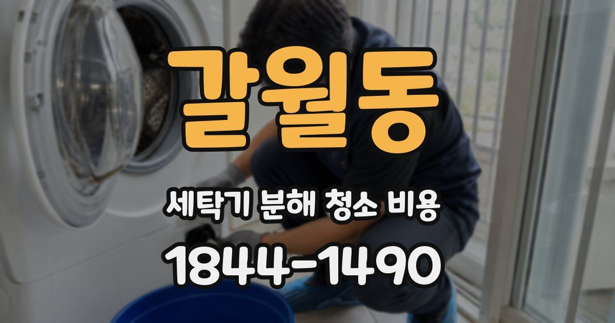 갈월동 세탁기 분해 청소 비용