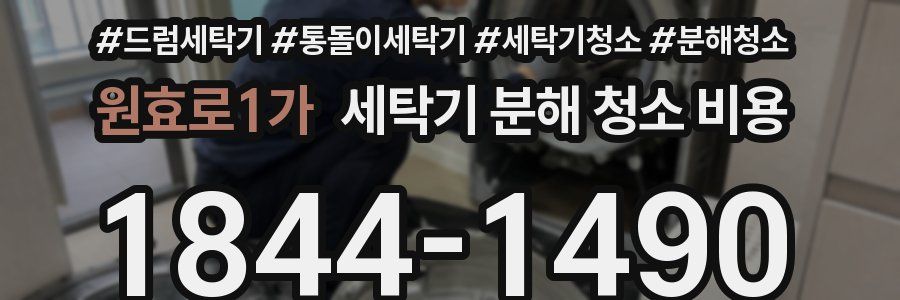 원효로1가 세탁기 분해 청소 비용