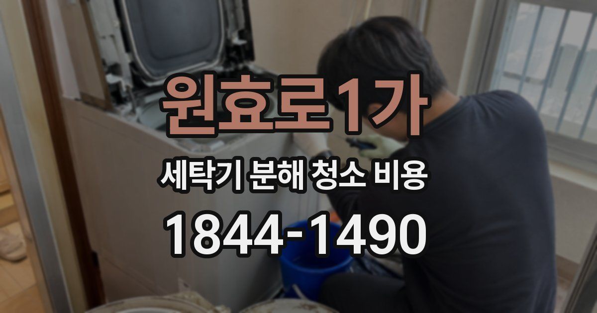 원효로1가 세탁기 분해 청소 비용