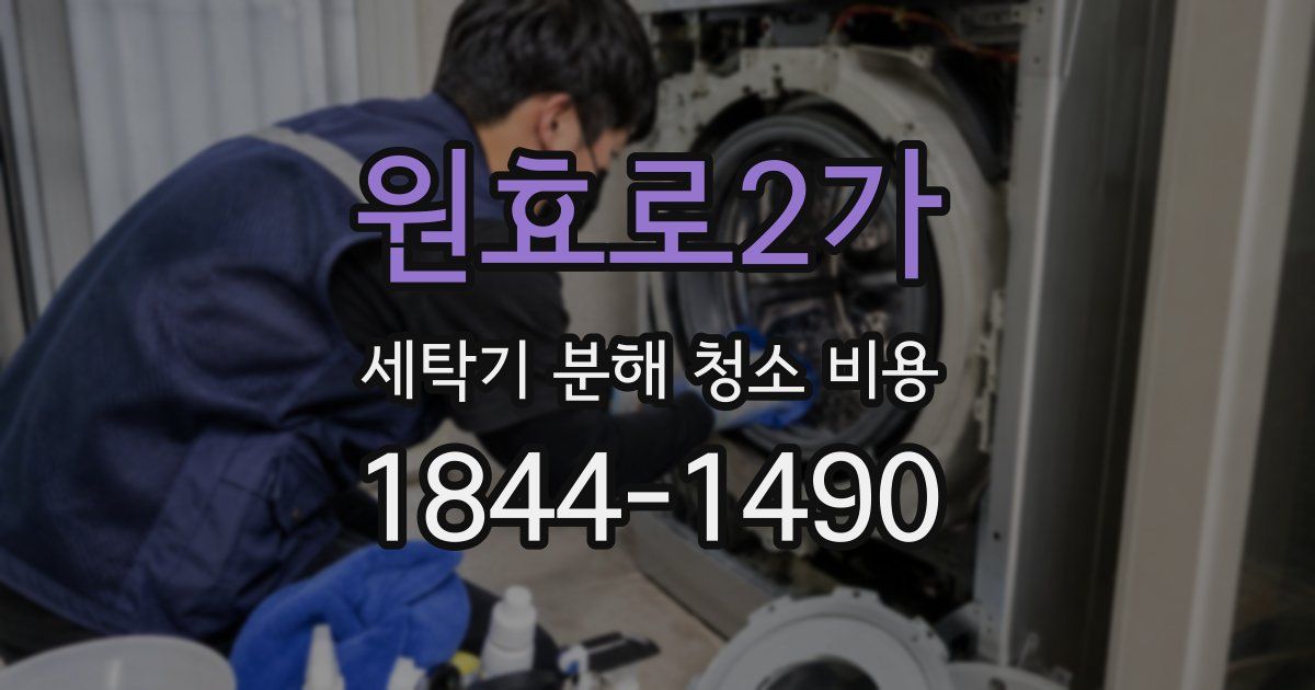 원효로2가 세탁기 분해 청소 비용