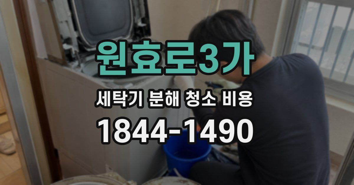 원효로3가 세탁기 분해 청소 비용