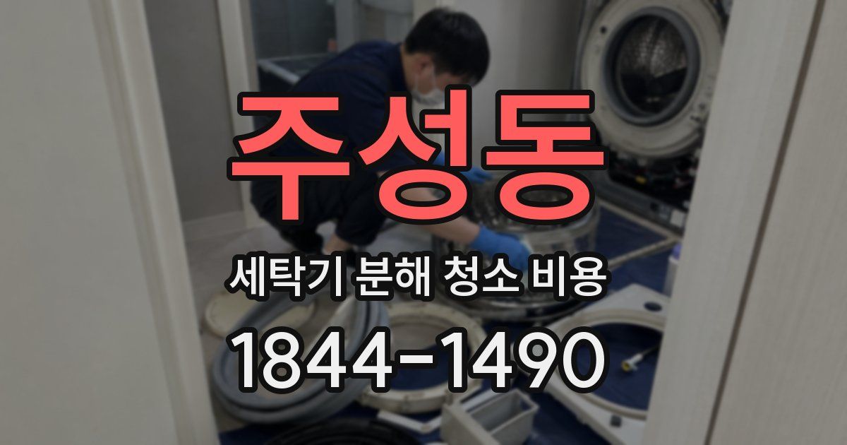 주성동 세탁기 분해 청소 비용