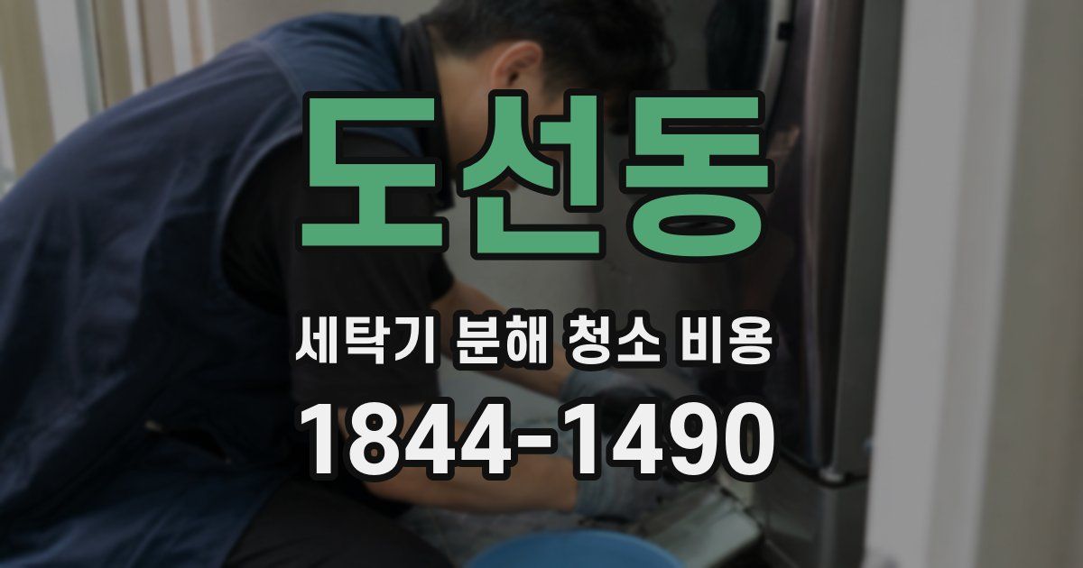 도선동 세탁기 분해 청소 비용