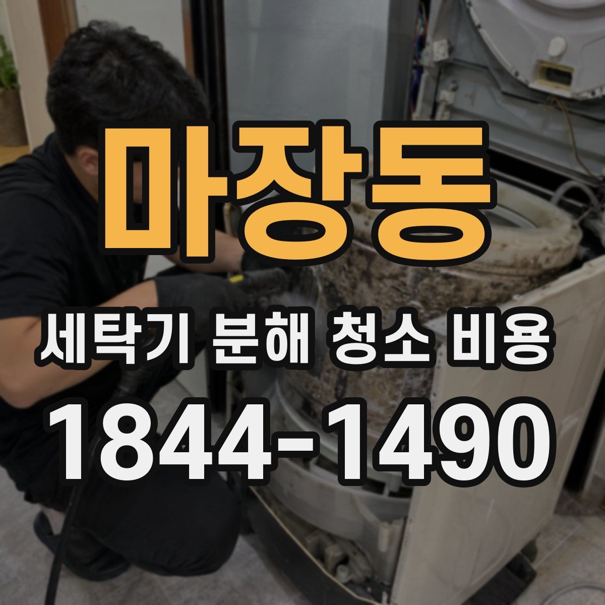 마장동 세탁기 분해 청소 비용