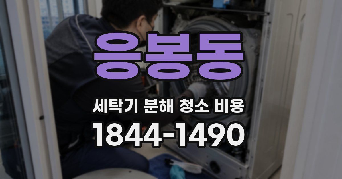 응봉동 세탁기 분해 청소 비용