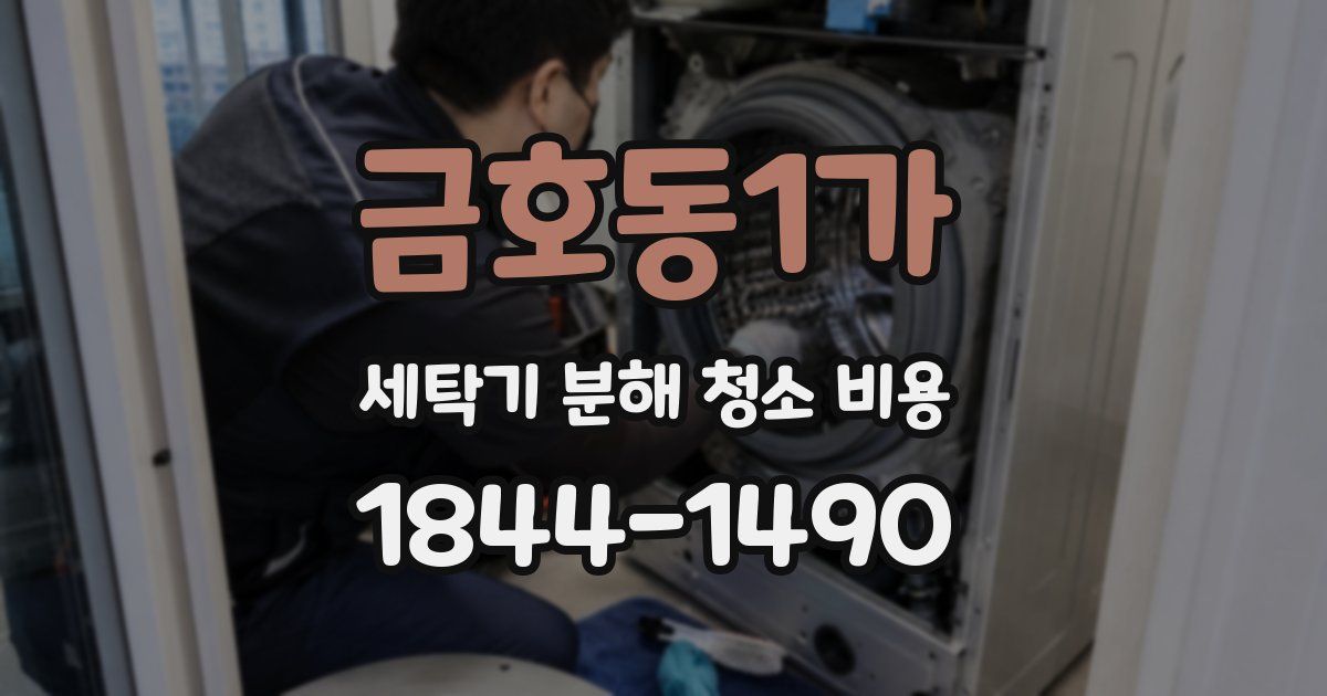 금호동1가 세탁기 분해 청소 비용
