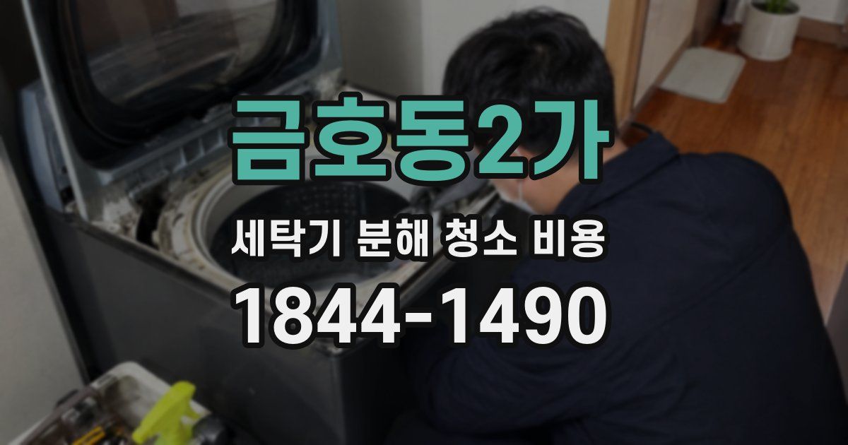금호동2가 세탁기 분해 청소 비용