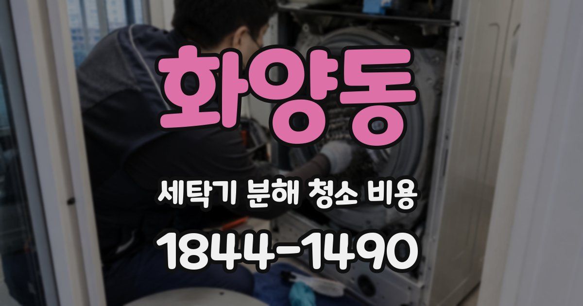 화양동 세탁기 분해 청소 비용