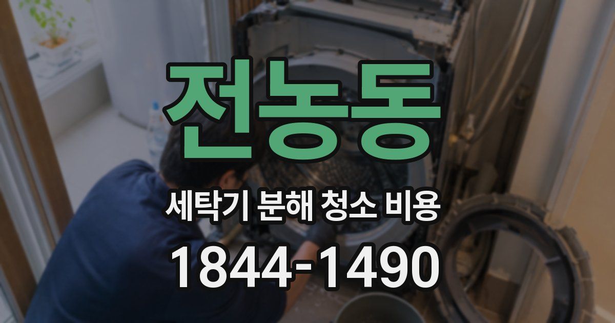 전농동 세탁기 분해 청소 비용