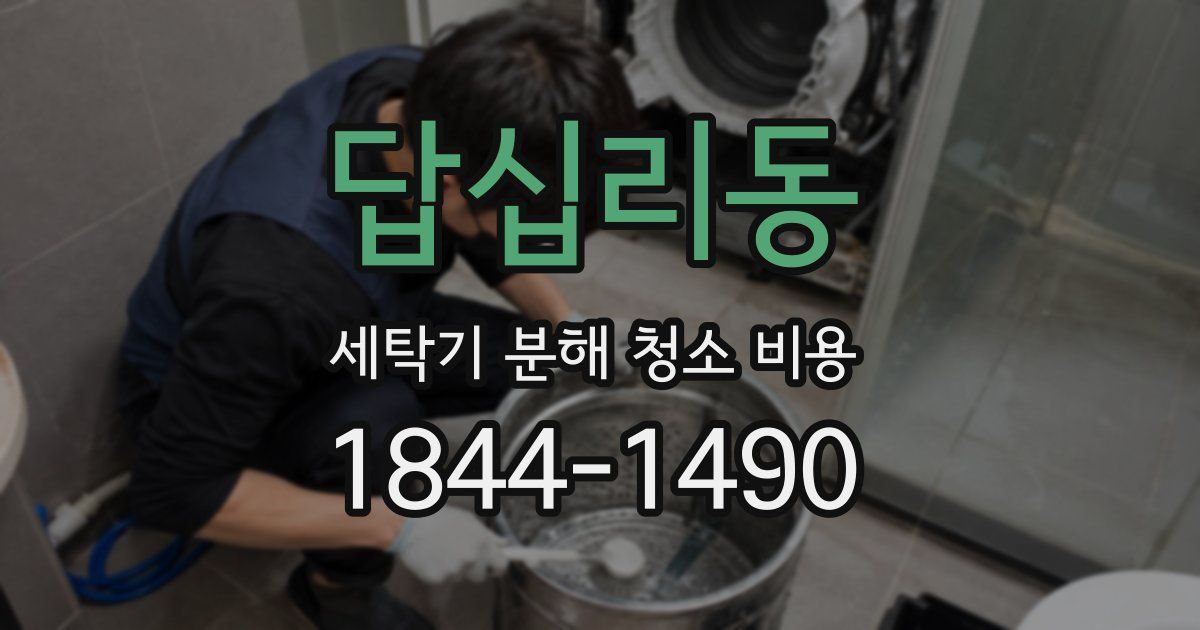 답십리동 세탁기 분해 청소 비용