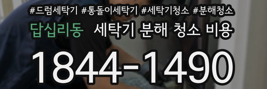 답십리동 세탁기 분해 청소 비용
