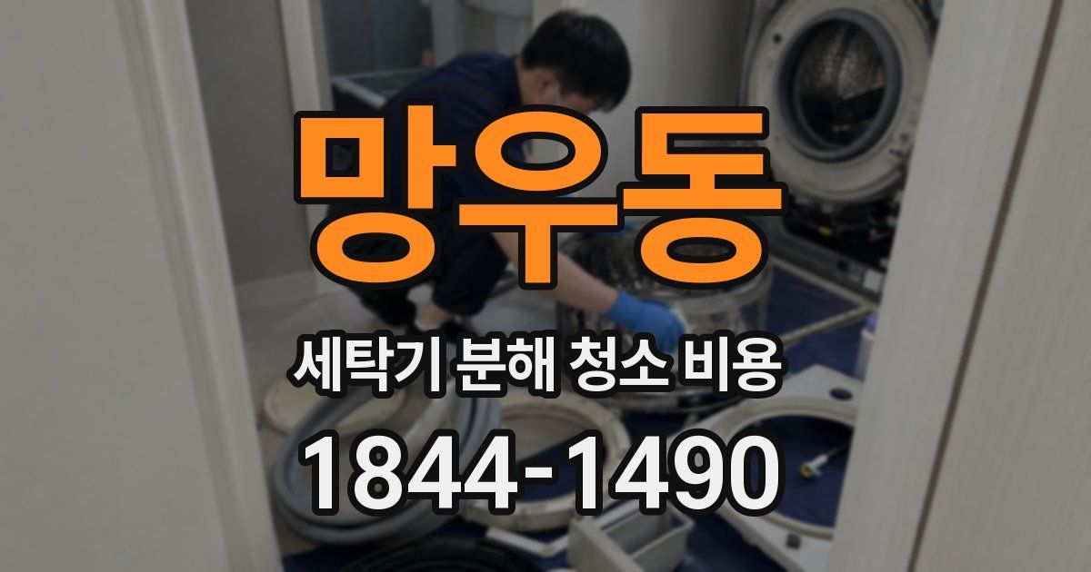 망우동 세탁기 분해 청소 비용