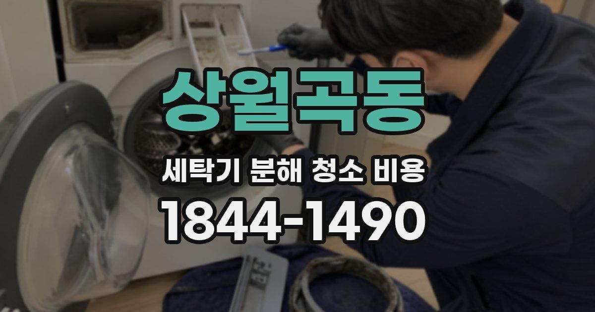 상월곡동 세탁기 분해 청소 비용