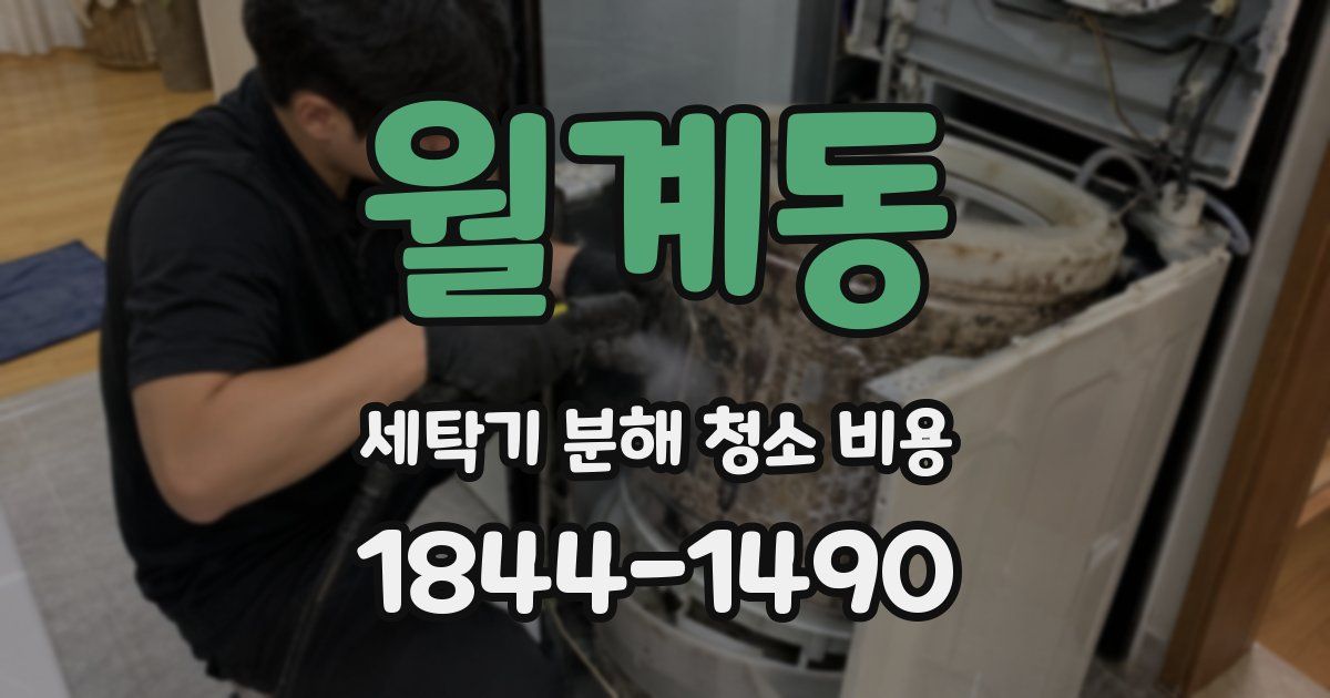 월계동 세탁기 분해 청소 비용