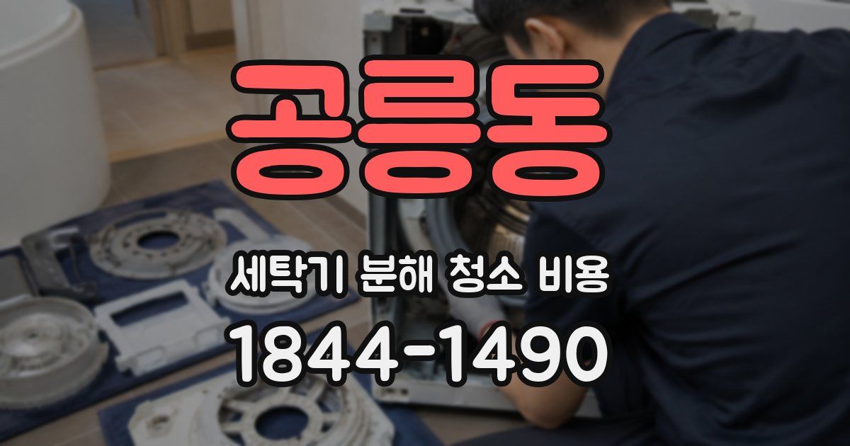 공릉동 세탁기 분해 청소 비용