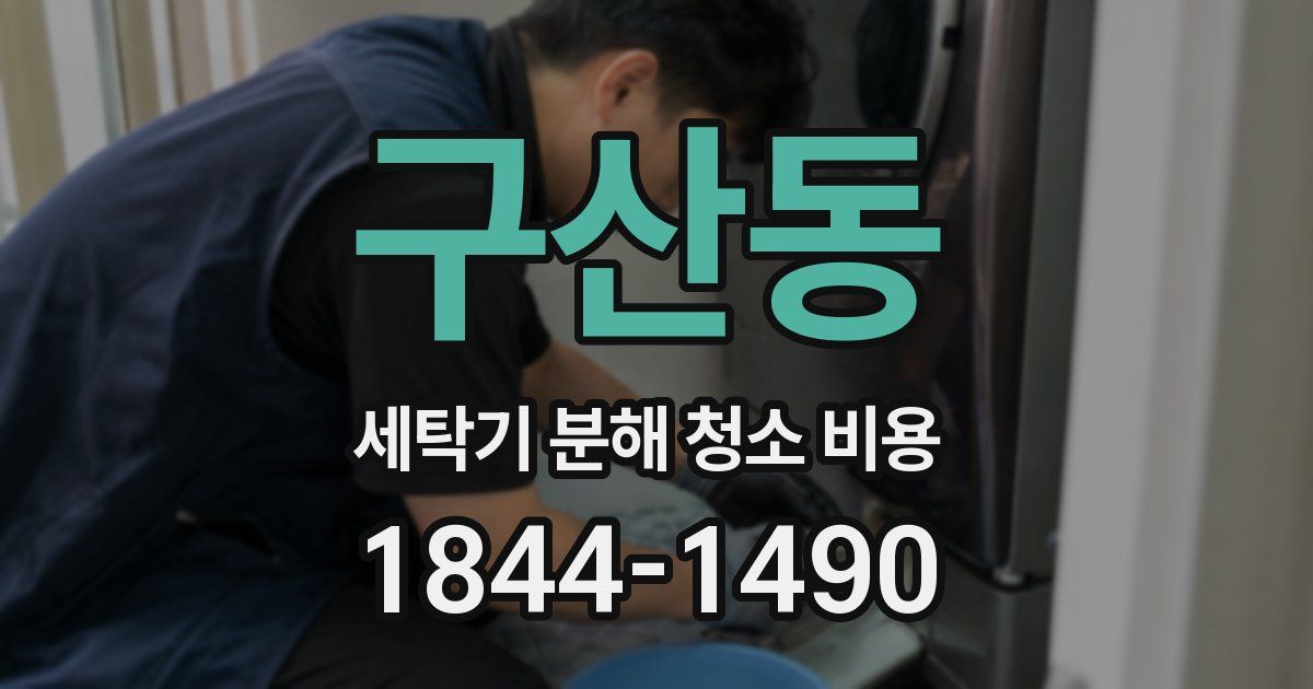 구산동 세탁기 분해 청소 비용