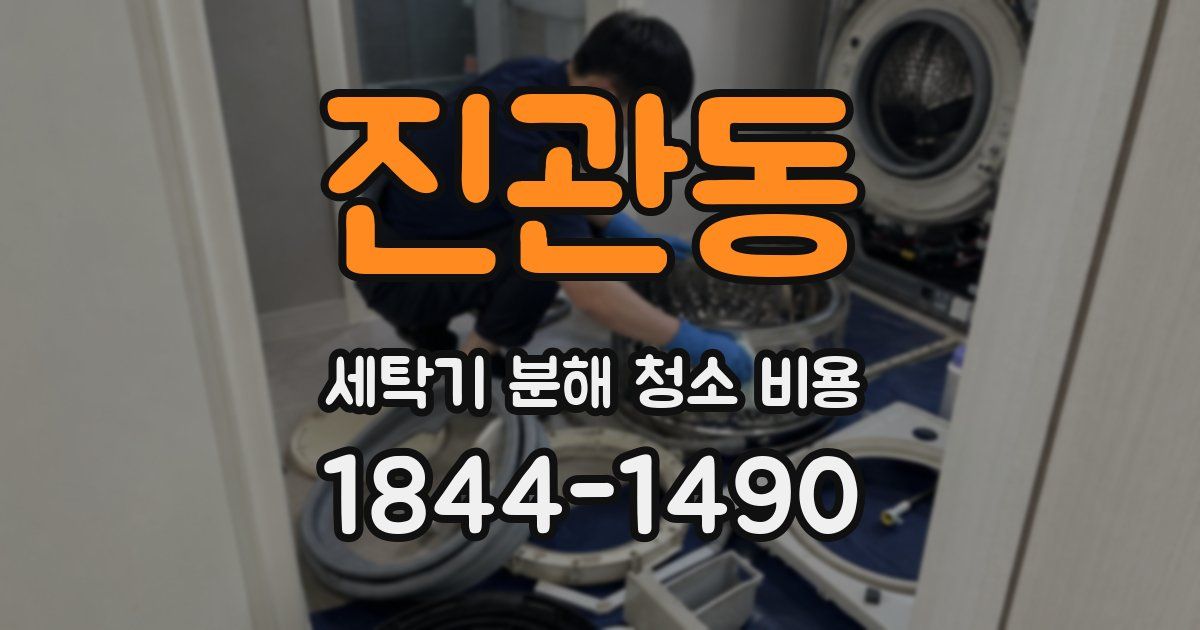 진관동 세탁기 분해 청소 비용