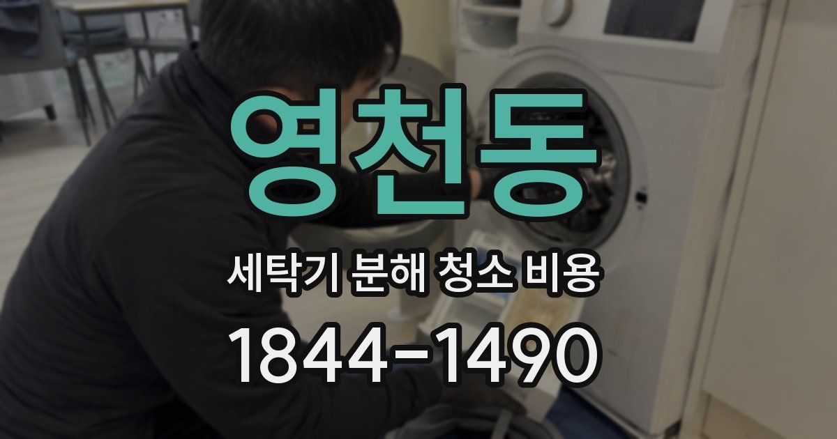 영천동 세탁기 분해 청소 비용